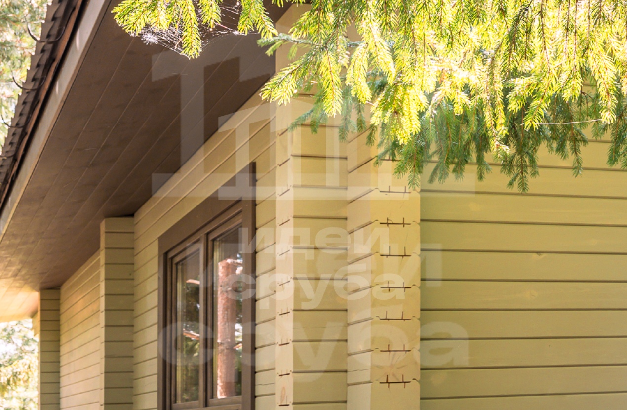 Проект в Дубцах