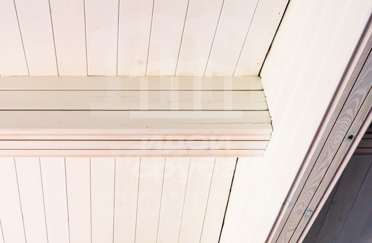 Проект в Дубцах