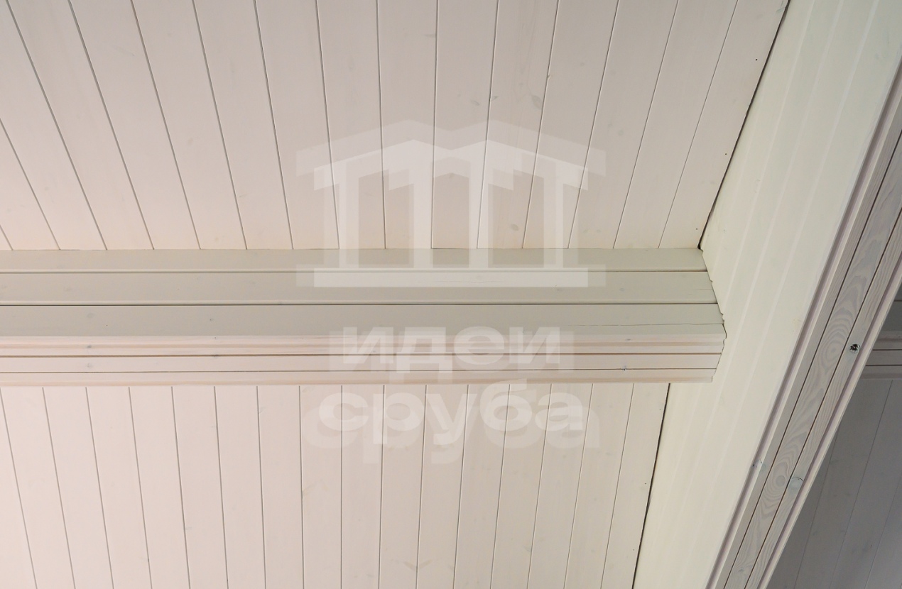 Проект в Дубцах