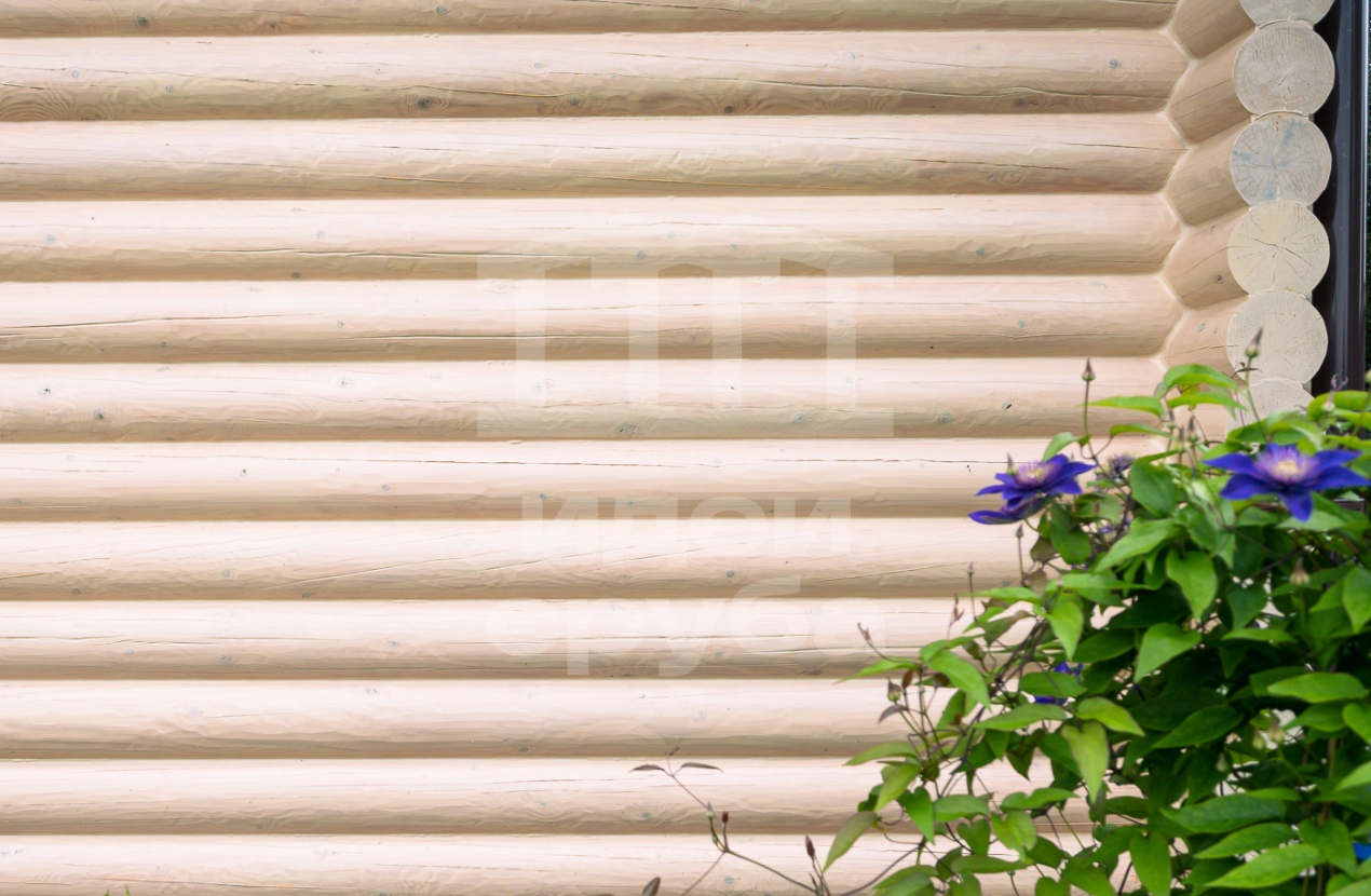 Баня в СНТ Радуга