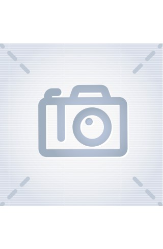 Дмитриев Игорь