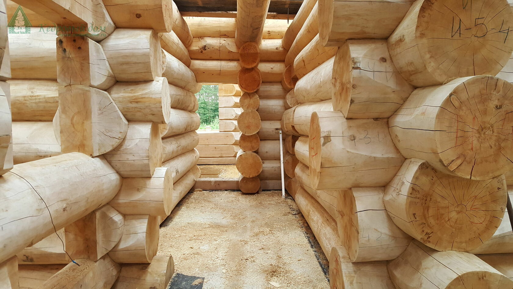 Из чего строить деревянный дом: профилированный брус vs оцилиндрованное бревно?