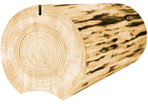 дома и бани из рубленного бревна